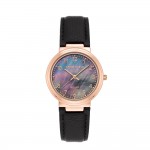 Women's watch Anne Klein AK/3712RGBK