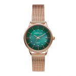 Women's watch Anne Klein AK/3722GMRG