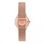 Women's watch Anne Klein AK/3722GMRG