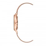 Women's watch Anne Klein AK/3722GMRG
