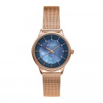 Women's watch Anne Klein AK/3722NMRG