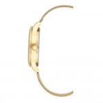 Women's watch Anne Klein AK/3776MTGB