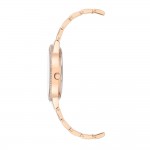 Sieviešu rokas pulkstenis Anne Klein AK/3816MPRG