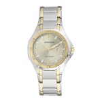 Men's watch Armitron 20/4309GYTT