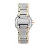 Men's watch Armitron 20/4309GYTT