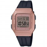 Wristwatch Casio F-201WAM-5AVEF