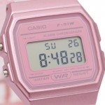 Часы Casio F-91WS-4EF Часы Casio F-91WS-4EF
