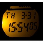 Wristwatch CASIO WS-1000H-1AVEF