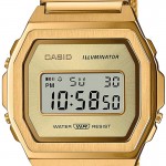Часы CASIO A1000MG-9EF Часы CASIO A1000MG-9EF