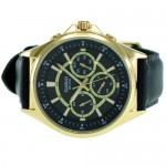 Rokas pulkstenis CASIO MTP-E303GL-1AVEF Rokas pulkstenis CASIO MTP-E303GL-1AVEF
