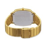 Wristwatch Casio LTP-E117G-9AEF