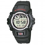 Wristwatch Casio G-Shock G-2900F-1VER Wristwatch Casio G-Shock G-2900F-1VER
