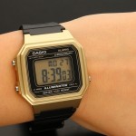 Wristwatch Casio W-217HM-9AVEF