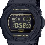 Часы CASIO G-Shock DW-5700BBM-1ER