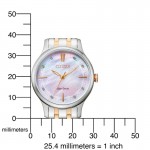 Rokas pulkstenis Citizen Eco-Drive EM0896-89Y