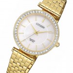 Rokas pulkstenis Citizen ER0212-50Y