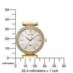 Rokas pulkstenis Citizen ER0212-50Y