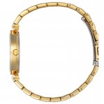 Rokas pulkstenis Citizen ER0212-50Y