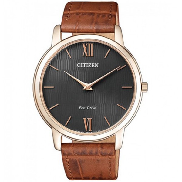 Часы Citizen Eco-Drive AR1133-15H