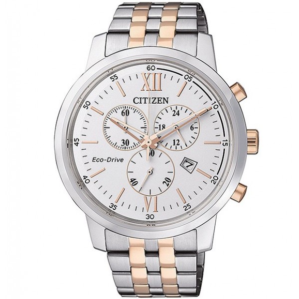 Rokas pulkstenis Citizen AT2305-81A
