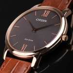 Часы Citizen Eco-Drive AR1133-15H