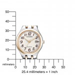 Часы Citizen EW2486-87A