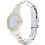 Wristwatch Citizen EO1184-81D