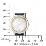 Rokas pulkstenis Citizen EX1493-13A