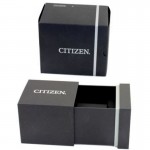 Wristwatch Citizen EQ0608-55EE