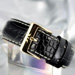 Wristwatch Bisset BS25C18MTTWHBK Wristwatch Bisset BS25C18MTTWHBK