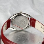 Wristwatch BISSET Iriss BSAC95SIWX03BX