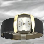 Wristwatch BISSET BSAD33GMSX03BX