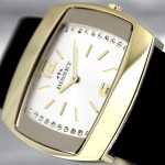 Wristwatch BISSET BSAD33GMSX03BX
