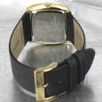 Wristwatch BISSET BSAD33GMSX03BX