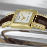 Wristwatch BISSET Dunharow BSAD20GISX03BX
