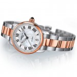 Rokas pulkstenis Certina C025.210.22.118.00
