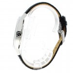 Wristwatch BISSET Aneadam BSCC41SISD05BX