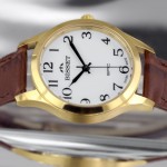 Часы BISSET EPIC BSAE39GAWX05BX