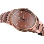Wristwatch BISSET BSDE44VIYX03BX