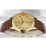 Wristwatch BISSET BSCE50GAGX03BX