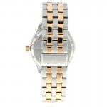 Wristwatch Pierre Cardin PC108141F05U
