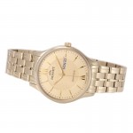 Wristwatch BISSET Sapphire V BSDF05GWGX03BX