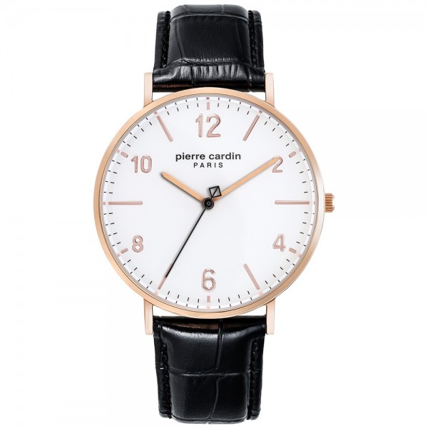 Rokas pulkstenis Pierre Cardin PC902651F08