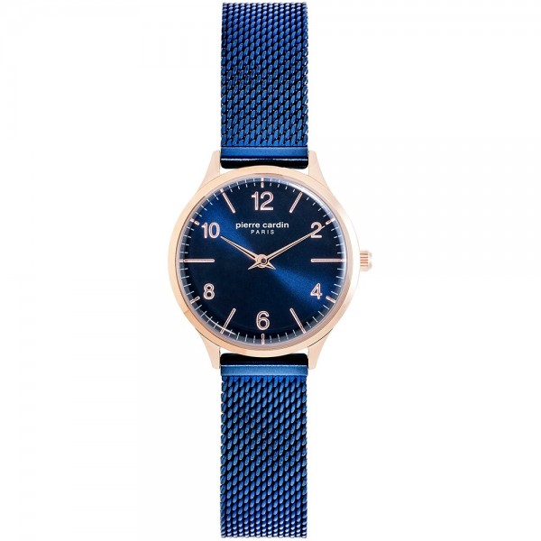 Часы Pierre Cardin PC902682F112