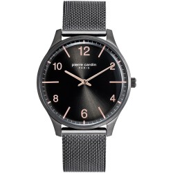 Rokas pulkstenis Pierre Cardin PC902711F115