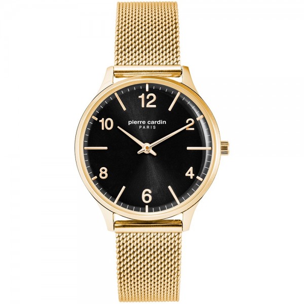 Часы Pierre Cardin PC902722F106