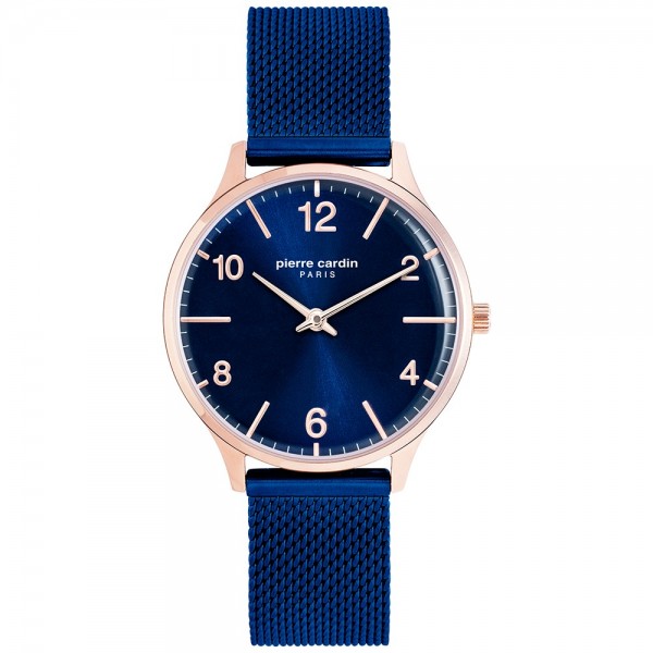 Часы Pierre Cardin PC902722F110