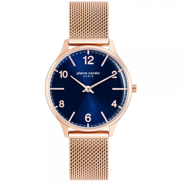 Часы Pierre Cardin PC902722F116