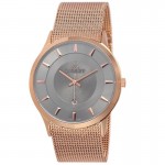 Wristwatch BISSET Newstyle BSDE47RIVX03BX