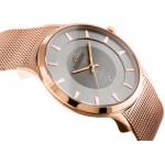 Wristwatch BISSET Newstyle BSDE47RIVX03BX